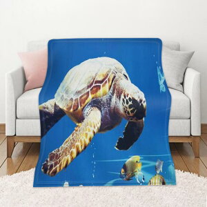 ѕz DIY uPbg  Aj} H~ ۉ \t@Jo[ fW^vg ʃtl [΍ Ђ| rO xbh ItBX 