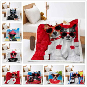 ѕz 킢  B |[Y  J[gD[ fW^ vg ב@ @ y g _炩 xbh Jo[ \t@ |  CeA