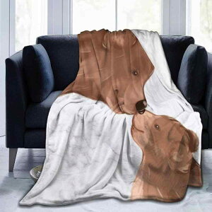 ѕz j̎q ̎q efBxA 킢 tl _炩 g lGʗp xbhp \t@p ԗp Q |GXe@ y CeA 