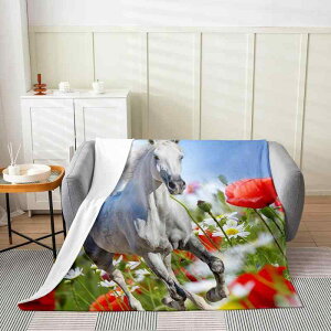 ѕz  tl |GXe y Jg[ 킢 t@[Aj} \t@Jo[ ֎qp ItBX