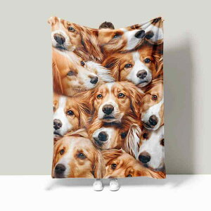 ybgp ѕz  3Dvg tlf ܂ډH 킢J[gD[ p^[ GARΉ y |GXe p g _炩