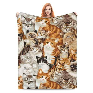 tlѕz 킢 L y |GXe Q  \t@ xbh CeA fR[V  Vv _炩 g