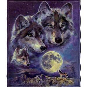 ѕz Ti tl R[xxbg uPbg 쐶 p^[ \t@Jo[ xbhJo[ tHp |GXe _炩f g y p FWJ