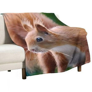 ѕz Y fB[X LbY 킢 X tl y g ӂӂ _炩 K \t@ xbh tH |GXe CgCG[ ĕ bNX