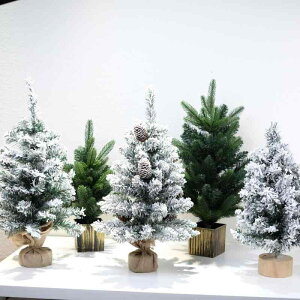 NX}Xc[ ~j fXNgbv ƒp p A  j t ڂ ze V[ jt ~ EB^[