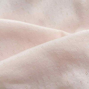 xr[ ̎q  N[O   _炩 G sN  V Ԃp  I[C e y₩ ʋC z  xr[KE 킢