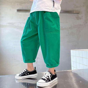 㕪pc j̎q   LbY JWA |GXea _炩 u[ {X^C gh y z 3΂8ΑΉ