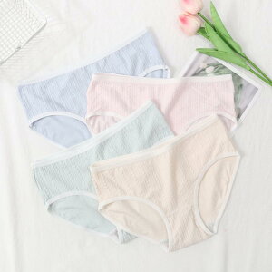 V[c fB[X  ʋC Op n 傫 sN   I[V[Y Rbg Ci[ 킢 ig  ԐD