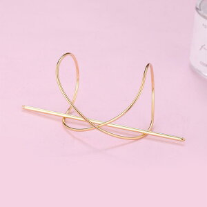 ���񂴂� �w�A�s�� ���� �A�N�Z�T���[ ���g�� �s�K�� ������ ���� �؍� �� �􉽌^ �d�C���b�L���H �� �� ���[�Y�S�[���h ������ �w�A�I�[�i�����g