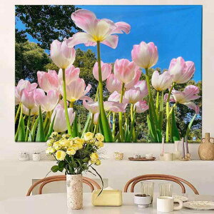 ^yXg[ Ԃ̊C  ͋C _ Vv  |GXe Ǌ| CeA wiz rO xbh[  z p ԕ t ` fW^vg y _炩 