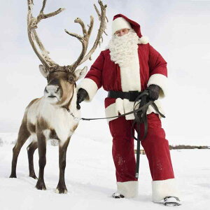 NX}X T^RX`[ Zbg Y fB[X l RXvߑ   |GXe 䑕  p[eB[ ߑ t@^W[ e[} Cxg ObY