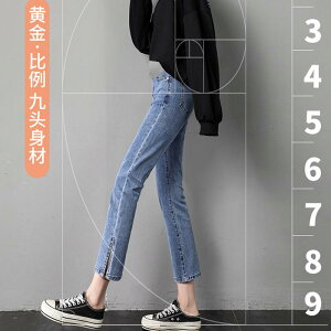 }^jeBpc fB[X fj Xg[g Opc tH p Ή 傫߃TCY VGbg  Lk T|[g fjn   Cgu[ ig 