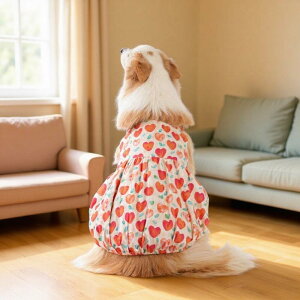 ybghX vZXXJ[g    ^ jZbNX 킢 ȑf K I[V[Y    n[g ԕ e