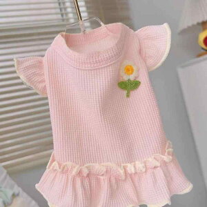 L X t 킢 ʋC bt ԕ t XJ[g efB rV R[xxbg  CgsN CgO[ Vv