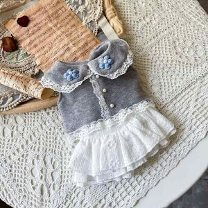 ybg j̎q ̎q t 킢 XJ[g uEX s[X t[vg |GXe y ʋC  K  ig  ybgt@bV