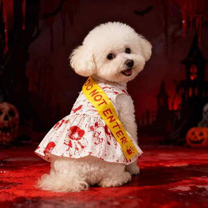 ybg Y fB[X  nEB RXv z[   e[v XJ[g lr ^Cv |GXe f ĕ X^C  p[eB[ 