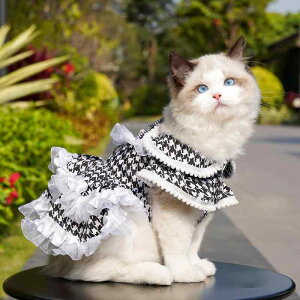 ybg XJ[g  nEhgD[X  g tAX[u JWA j̎q ̎q L  S[fgo[ [NV[eA 킢 