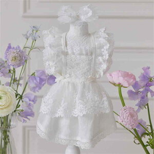 hX t 킢 vZX X^C [X `[ ptX[u  a f ^ ̎q  L ybg t@bV  EFA p[eB[ ؂₩