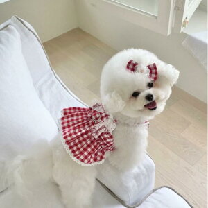 ybg ̎q vZXhX  c  `FbN EGXg n[lX L [h g ȍ  킢 Up