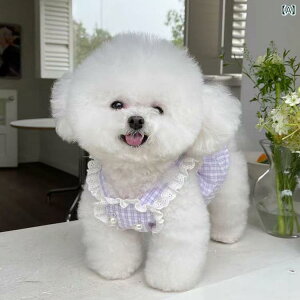 ybg XJ[g vZX t [X 킢  ^ efBxA ~j`A ViEU[ L  jZbNX |GXe