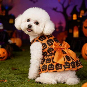 ybg nEB RXv RX`[  pvL RE S[Xg XJ[g vZX X^C 킢 jZbNX N[lbN |GXe H p[eB[