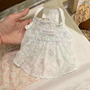 XJ[g j̎q ̎q ybg  ^  ݂ [X hJ o |GXe  sN  K 킢  X^C