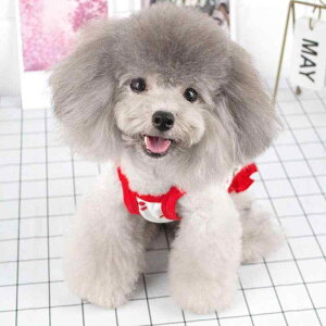 ybg ėp ݑ XJ[g `F[  킢 ^ L JWA |GXe f