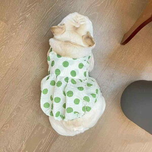  Y fB[X XJ[g hX t`uhbO pO ViEU[ EGXgnCheA rV [NV[eA tH ʋC |GXe 킢