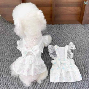 킢 ybg s[X XJ[g j̎q ̎q ^ ^ L t ԕ  wS u₩ JWA |GXe     U y `[bv