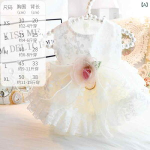 ybgt@bV j̎q ̎q vZXhX L ^ 킢 K[[ }`bN   y ȑf t AC{[ [h K \tg ʋC