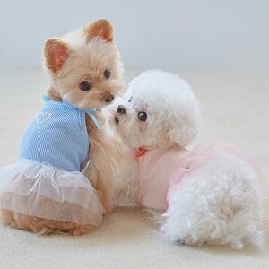 ybg XJ[g ̎q t oG L~\[ `[XJ[g Ci[ d˒ x[XC[ `` sN ȍa 킢 y ʋC ǂ