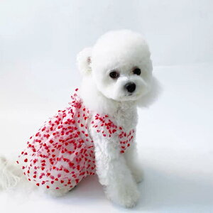 ybg vZXhX j̎q ̎q t efBxA ^ ^ L  ʋC |GXe   킢