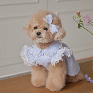 ybg s[X ̎q H~ [X ptX[u GKg vZX X^C ȍa ^ Lp Cgu[ zCg sN 킢 hX XJ[g Ci[ y Lk