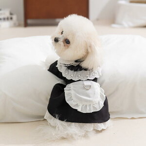 p s[X t Ch JK w@ ^ XJ[g vZXX^C jZbNX  u[ 킢 ybg