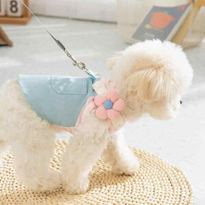 ybg Y fB[X t  vZX XgCv fj n[lX [ht s[X XJ[g L vg {r^Cv 킢  sN CG[ ԕ