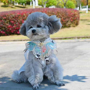 ybg ̎q `Ci s[X p_ | _V[ Zbg   m[X[u `[ 킢  ʋC y