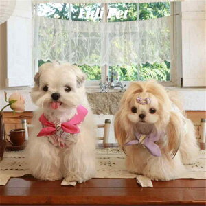 ybg XJ[g ^ VV[hbO }`[Y ViEU[ vZX ACXt[  tďH AEghA  |GXe p[v [Ybh 킢  j