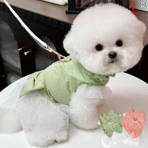 vZXXJ[g j̎q ̎q ybg   ^ L [X Rbg  sN 킢  y t@bV c ʋC o \tg