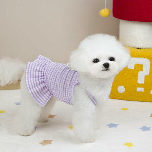 ybg Lp `FbN TXy_[XJ[g t JWA |GXe   sN  킢 Up y Lk