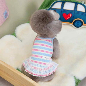 ybg XJ[g j̎q ̎q t L~\[ ݂ [XGbW 킢 |GXe JWA Cu[ CG[ GhO[