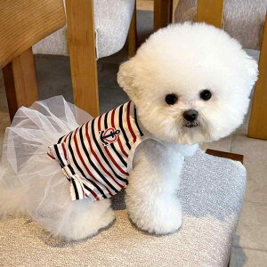 ybg hX ^ L    vZX XJ[g rV gCv[h |jA }`[Y  XgCv  XgCv 킢 