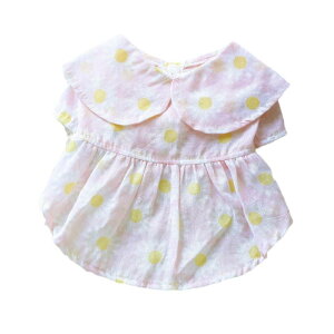 ybg XJ[g t ^ efB rV j̎q ̎q ʋC  Vv JWA |GXe sN pCibv e 킢