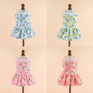 ybg XJ[g j̎q ̎q ^ Lp vZX t  |GXe [v t sN u[ CG[ t[ XgCv 킢 Up