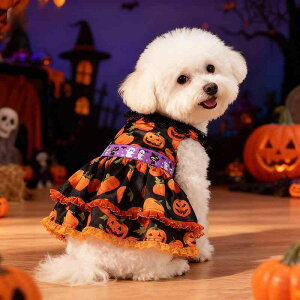 킢 nEB RX`[ ybg  XJ[g J{`  [X  ^ ^ |GXe f ubN IW F  X^C t@bV