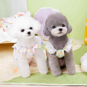  Y fB[X ^ 킢  t[ vg XJ[g wS n[lX Zbg t U Oo sN CG[ |GXe JWA F