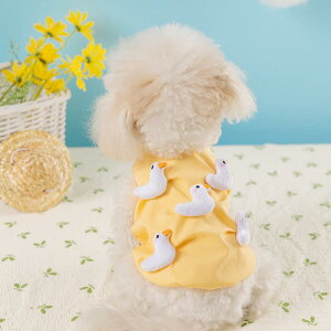 ybg s[X jZbNX t 킢 L[g  Aq vg CG[  y |GXe J[gD X^C ^ L efB t@bV