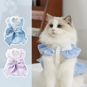 ybghX Lp t vZX 傫ȃ{  y s[X XJ[g L  킢 {fBu[ Zp[v