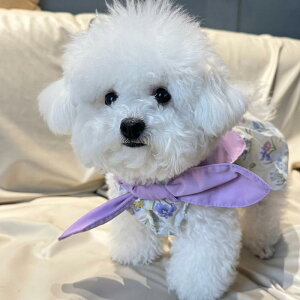 ybg XJ[g ^ { }`[Y ViEU[ j̎q ̎q vZX tďH ACX ԕ  [Y |GXe  킢 AEghA Up