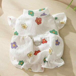 ybg s[X vZX t 킢 ԕ vg  L    F CVC f fW^ vg jZbNX