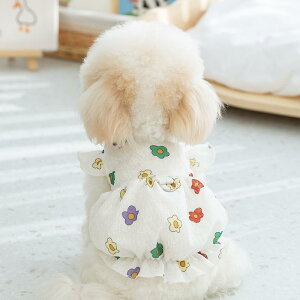 ybg s[X j̎q ̎q t vZX ԕ 킢  L  vg n